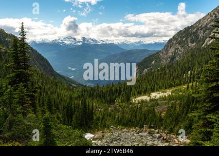 Weitläufiger Blick über die üppigen Nadelwälder und zerklüfteten Berge von British Columbia unter einem dynamischen Himmel. Stockfoto