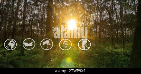 Tourismusressourcen und landwirtschaftliches Lernen, Kautschukplantagen-Landwirtschaft, Lernen über Kautschukanbaugebiete, Zugang zu Kautschukbauern Gemeinschaften, Pano Stockfoto