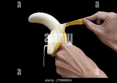 Eine Banane in der einen Hand, die von der anderen Hand geschält wird, vor schwarzem Hintergrund. Stockfoto