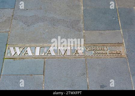 Sprachwörter der Aborigines auf Messingplatten, eingebettet in den Bürgersteig des Martin Place in Sydney, Australien Stockfoto