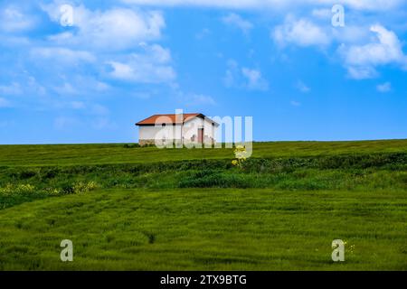 Ein einsames Bauernhaus auf einem Hügel in landwirtschaftlicher Landschaft. Stockfoto