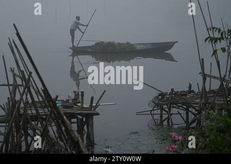 Ein Arbeiter sammelt Plankton an einem nebeligen Morgen am MBB College Lake in Agartala. Tripura, Indien. Stockfoto