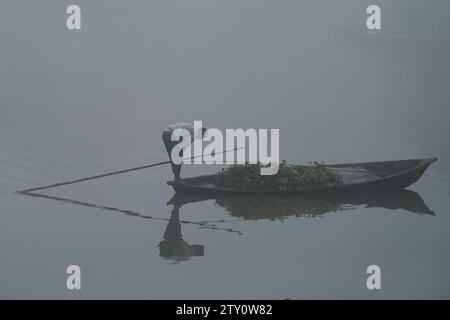 Ein Arbeiter sammelt Plankton an einem nebeligen Morgen am MBB College Lake in Agartala. Tripura, Indien. Stockfoto