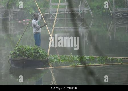 Ein Arbeiter sammelt Plankton an einem nebeligen Morgen am MBB College Lake in Agartala. Tripura, Indien. Stockfoto