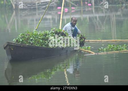 Ein Arbeiter sammelt Plankton an einem nebeligen Morgen am MBB College Lake in Agartala. Tripura, Indien. Stockfoto