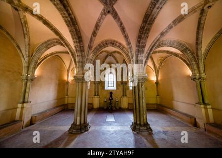 Kapitelhaus, Sala Capitolare der Abtei Fossanova, Abbazia di Fossanova, eine Kirche, die früher eine Zisterzienserabtei war. Stockfoto