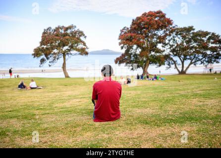 Leute, die sich am Takapuna Beach entspannen. Pohutukawa-Bäume in voller Blüte. Rangitoto Island in der Ferne. Auckland. Stockfoto