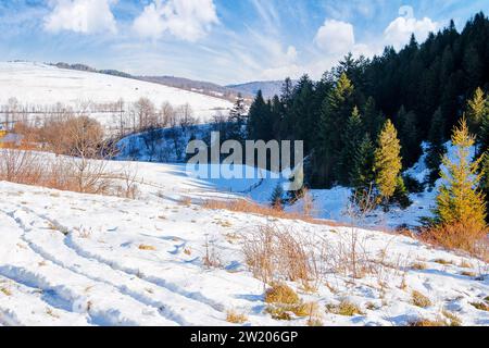 Berglandschaft im Winter. Bewaldete Hügel und schneebedeckte Wiesen an einem sonnigen Tag. Dorf in der Ferne Stockfoto