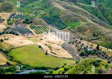Blick aus der Vogelperspektive auf die landwirtschaftliche Landschaft rund um Pentidattilo mit Feldern, Obstgärten und bewaldeten Hügeln. Stockfoto