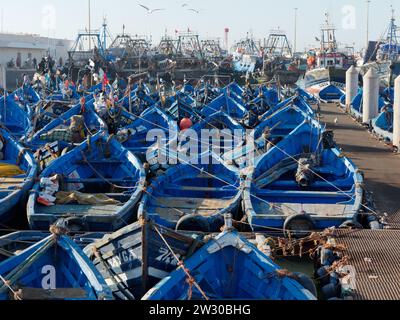 Blaue Fischerboote mit Schleppnetzfischern und Möwen, die oben in Essaouira, der „windigen Stadt“, Marokko, fliegen. Dezember 2023 Stockfoto