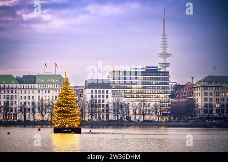 Alstertanne zur Weihnachtszeit auf der Binnenalster in Hamburg, Deutschland, Europa Stockfoto