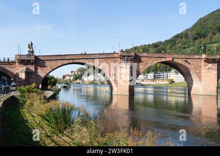 Spaziergang entlang des langen neckars Stockfoto
