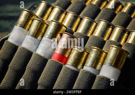 Set Patronen für eine Schrotflinte. Eine Patrone ist höher als der Rest im Gehäuse. Geschäftskonzept: Führung, hohes Management, Rekrutierung. Stockfoto