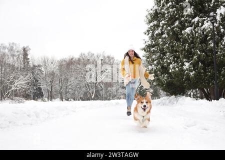 Frau mit entzückendem Pembroke Welsh Corgi Hund, der im verschneiten Park läuft Stockfoto