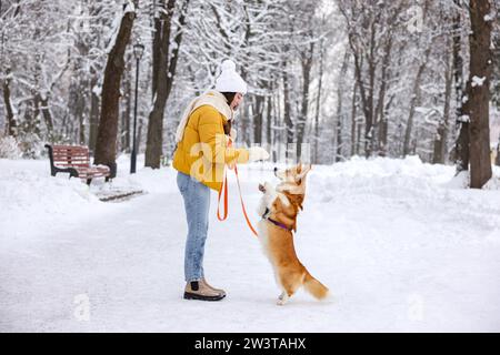 Frau mit entzückendem Pembroke Welsh Corgi Hund im verschneiten Park Stockfoto