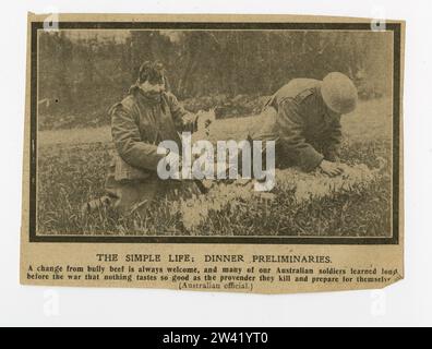 Offizielles Foto an der britischen Westfront, das Soldaten beim Zupfen von Hühnern und beim Zubereiten von Speisen zeigt Stockfoto