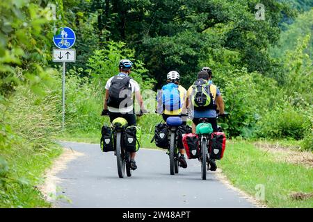 Eine Gruppe junger Freunde, die auf einem Radweg Fahrrad fahren, führt durch die Natur. Radfahren Rückansicht Stockfoto