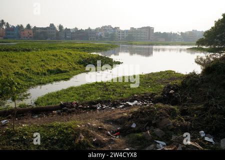 Kalkutta, Indien. Dezember 2023. Viele Zugvögel kommen in diesem Winter (November bis März) am meist mit Wasserhyazinthen bedeckten Santragachi Jheel oder See. Liter Whistling Duck ist die dominanteste Art, die hier mit anderen Sorten zu sehen ist. (Foto: Biswarup Ganguly/Pacific Press) Credit: Pacific Press Media Production Corp./Alamy Live News Stockfoto