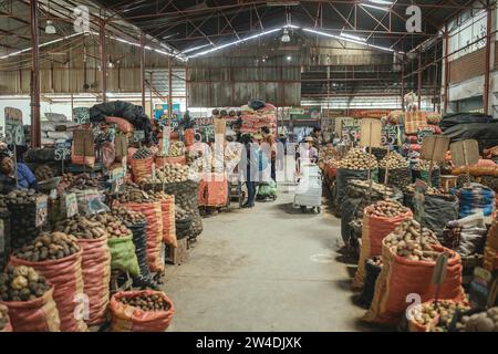 Markthalle, Kartoffelsorte, Mercado Mayorista, Huancayo, Peru Stockfoto