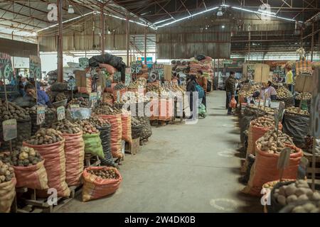 Markthalle, Kartoffelsorte, Mercado Mayorista, Huancayo, Peru Stockfoto