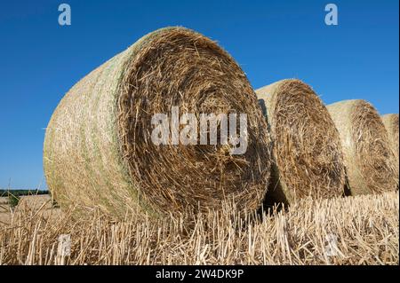 Strohballen auf geerntetem Getreidefeld, blauer Himmel, Thüringen, Deutschland Stockfoto