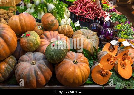 Hokkaido Kürbisse in der großen Markthalle, Mercato Orientale, Via XX Settembre, 75 r, Genua, Italien Stockfoto