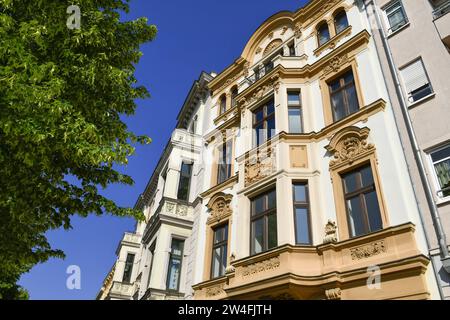 Altbau, Brandenburger Platz, Cottbus, Brandenburg, Deutschland Stockfoto