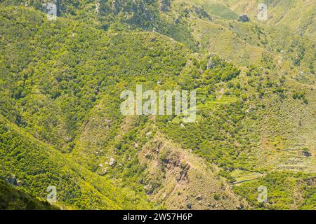 Panorama von Cabezo del Tejo, in der Nähe von Taganana, Anaga Mountains, Anaga, Teneriffa, Nordosten, Kanarische Inseln, Spanien Stockfoto