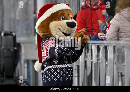 Maskottchen Berni FC Bayern München FCB (12) im Weihnachtsoutfit, Weihnachtsmütze, Allianz Arena, München, Bayern, Deutschland Stockfoto