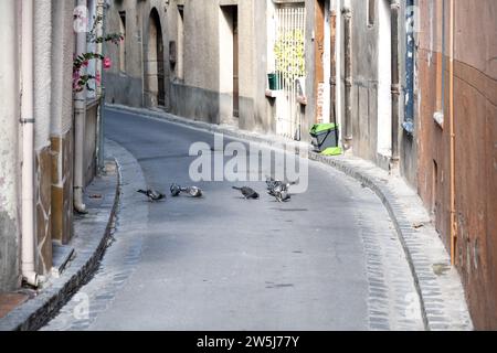 Eine kleine schmale Gasse mit mehreren älteren Häusern an der Seite, kein Bürgersteig und an einem Punkt mehrere Tauben, die etwas auf der Straße picken. Stockfoto