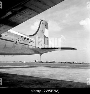 Der Douglas DC-4 Edam im KLM-House-Stil und mit dem Flying Dutchman-Logo in der Mitte der Rumpfrückseite und dem Heck in der niederländischen Tricolor am Flughafen Schiphol CA. August 1951 Stockfoto