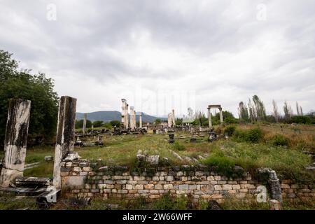 Afrodisias antike Stadt. (Aphrodisias). Der Common Name der vielen alten Städte der Göttin Aphrodite geweiht. Die berühmtesten Städte namens Ap Stockfoto