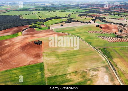 Ein landschaftlicher Schnappschuss aus der Luft, der das Flickenteppich von landwirtschaftlichen Feldern mit verschiedenen Grün- und Brauntönen, durchsetzt von Baumgruppen, feststellt. Stockfoto