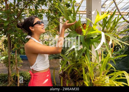 Eine junge Frau bewundert das üppige Laub beim Besuch des Botanischen Gartens und Gewächshauses des Chapultepec Forest in Mexiko und berührt sanft ein Blatt. Stockfoto