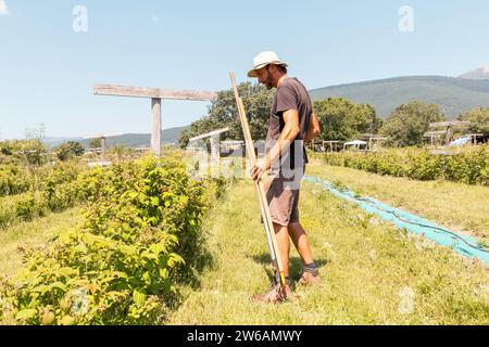 Seitenansicht in voller Länge eines Reifen Bauern mit Hut und Freizeit, der Werkzeuge von grünen Pflanzen in Bio-Plantagen an sonnigen Tagen hält Stockfoto