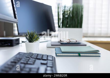 Desktop-PC mit Büchern und Pflanzen auf dem Schreibtisch im Büro Stockfoto