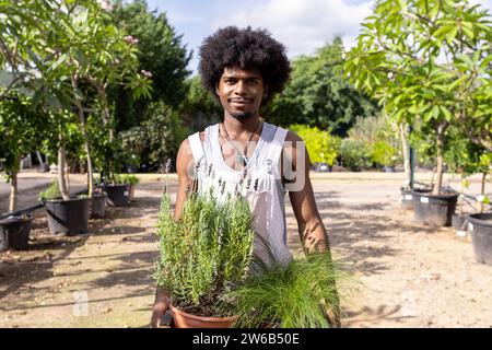 Porträt eines lächelnden, selbstbewussten jungen Agronomen mit Afro-Frisur, der grüne Pflanzen hält, während er an sonnigem Tag am Bio-Gewächshaus steht Stockfoto