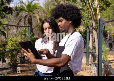 Selbstbewusste afroamerikanische Botanikerin, die ein digitales Tablet teilt und mit einer hispanischen Kollegin im Bio-Gewächshaus diskutiert Stockfoto