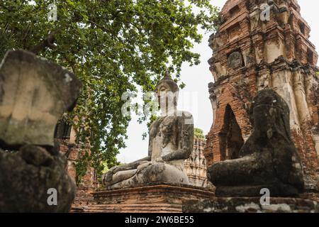 Unterhalb der Buddha-Statue und der Ruinen der antiken Prangen in der Nähe eines Baumes im Wat Mahathat-Tempel in Ayutthaya, Thailand Stockfoto