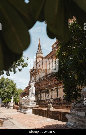 Wunderschöner Blick von grünen Ästen auf das Äußere des antiken religiösen Tempels mit orientalischer Architektur und meditierenden Buddha-Statuen in Ayutthaya Stockfoto