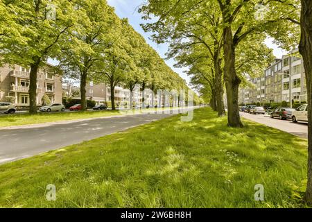 Leere Asphaltstraße inmitten üppiger Bäume, die in der Stadt mit geparkten Autos und Gebäuden an sonnigen Tagen wachsen Stockfoto