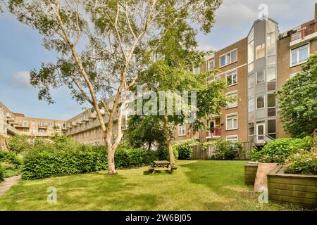 Ein ruhiger Stadtpark im Sommer mit üppigem grünem Gras, hohen Bäumen, einer Holzbank und modernen Wohngebäuden im Hintergrund Stockfoto