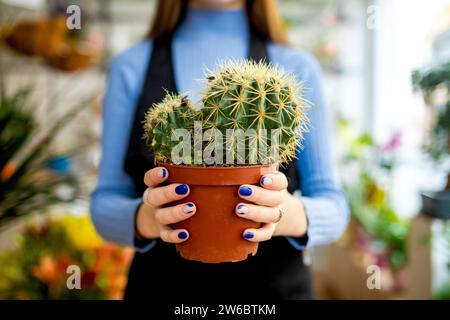 Beschnittene, nicht erkennbare Gärtnerin mit gepflegten Nägeln, die eine Schürze tragen und im Blumenladen stehen und während der Arbeit Kakteen halten Stockfoto