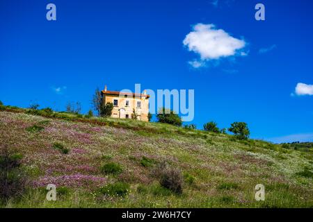 Ein einsames Bauernhaus auf einem Hügel in der landwirtschaftlichen Landschaft von Basilikata. Stockfoto