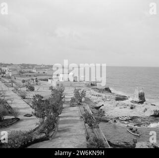 Lattaquia mit Blick auf das Mittelmeer ca. 1950-1955 Stockfoto