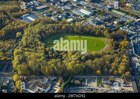 Luftaufnahme, Fußballfeld Hüserstraße, umgeben von herbstlichen Laubbäumen, Bockum-Hövel, Hamm, Ruhrgebiet, Nordrhein-Westfalen, Deutschland, Ansicht, D Stockfoto