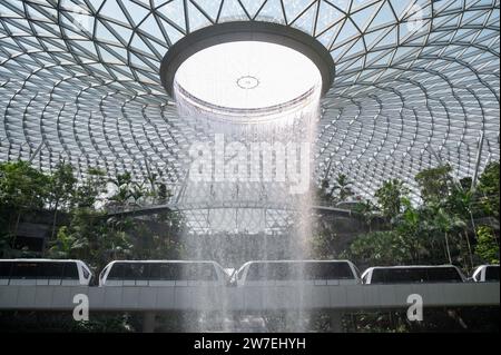31.07.2023, Singapur, Singapur, - zwei Züge des vollautomatischen Skytrain fahren mit dem Rain V durch den Garten des Shiseido Forest Valley Stockfoto
