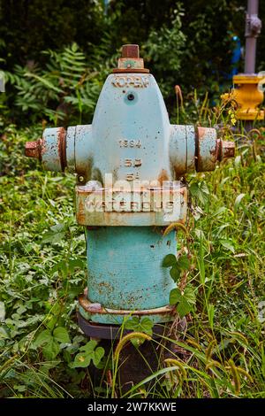 Vintage Blue Feuerhydrant in bewachsenem Grün, verwitterter Stadtszene Stockfoto