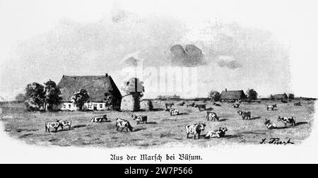 Harm Houses in den Sumpfgebieten bei Büsum, Nordsee, Dithmarschen, Schleswig-Holstein, Norddeutschland, Mitteleuropa, histrorische Illustration 1896 Stockfoto