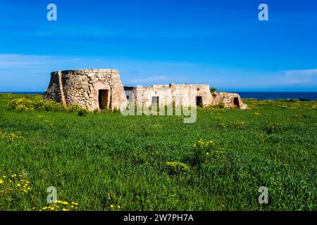 Ruinen einiger alter Trulli, die traditionelle apulische Trockensteinhütte mit konischem Dach, in der Nähe der Adriaküste. Stockfoto